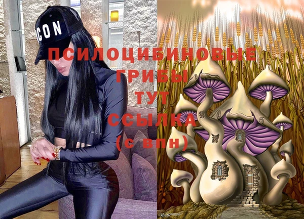 бошки Белоозёрский